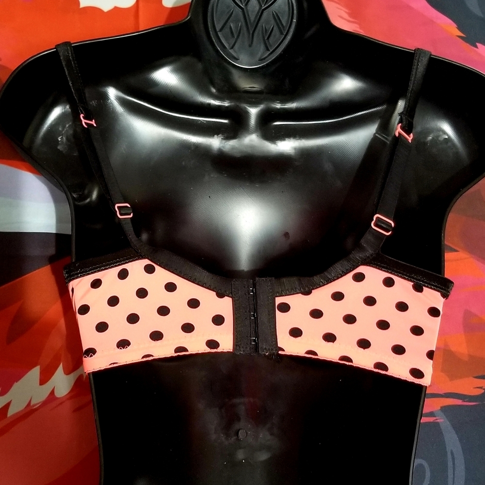 Hot Polka Express - Picture 2 of 2